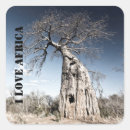 Search for baobabs Travel