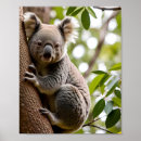 Search for eucalyptus tree posters Wildlife