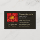 Search for dahlia flower business cards Elegant