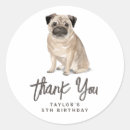 Search for pug stickers Birthday