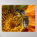 Search for api art Nectar