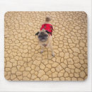 Search for wrinkled mouse mats Dog