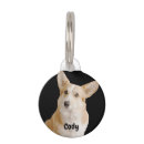 Search for photo pet tags Image