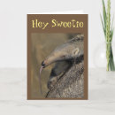 Search for aardvark cards Flirt