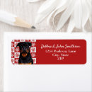 Search for rottie return address labels Puppy