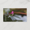 Search for sight business cards Nature