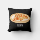 Search for croissant cushions Pastry