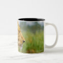 Search for 24 photos mugs Outdoors