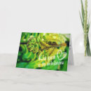 Search for new zealand kiwi cards Aotearoa