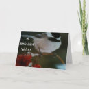Search for foul cards Bird