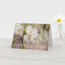 Search for orchid cards Christian