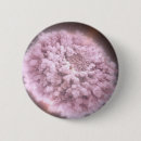 Search for neutron badges Astronomy