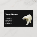 Search for black bear business cards Wildlife