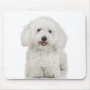 Search for maltese mouse mats Cute