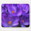 Search for spring crocus mouse mats Floral