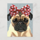 Search for red bow postcards Animals