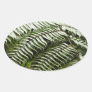 Search for ferns stickers Rainforest