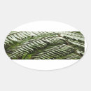 Search for ferns stickers Rainforest