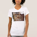 Search for lolcats Feline