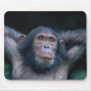 Search for tanzania mouse mats Environment