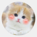 Search for cute faces stickers Cat lover