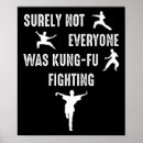 Search for kung fu posters Karate