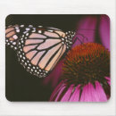 Search for monarch mouse mats Flower