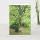 Search for big tree cards Landscape