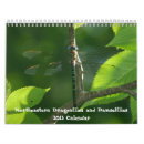 Search for dragonfly calendars Nature