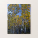 Search for broad leaf Autumn