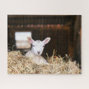 Search for lamb puzzles Farm