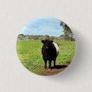 Search for farm animal badges Farming