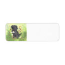Search for labradoodle return address labels Black