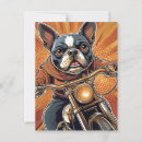 Search for puzzle postcards Animal