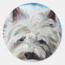 Search for sea dog stickers Ocean