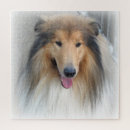 Search for rough collie puzzles Pets