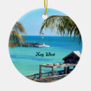 Search for skies christmas tree decorations Nature