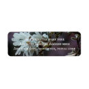 Search for flowering trees return address labels White