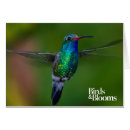 Search for birdnerd Hummingbird