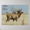 Search for big bull art Cervus canadensis