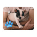 Search for pet photo magnets Paw