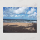 Search for coconuts postcards Caribbean
