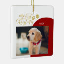 Search for colored christmas tree decorations Dog