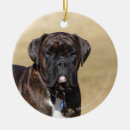 Search for brindle boxer dog christmas tree decorations Standing