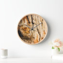 Search for bird nest clocks Owl
