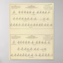 Search for statistics posters United