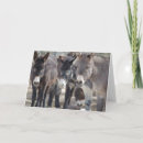 Search for burro cards Horse