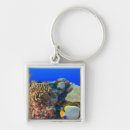 Search for atoll key rings Remote