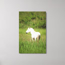 Search for horse canvas prints Cowboy