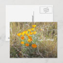 Search for wild grass postcards Field